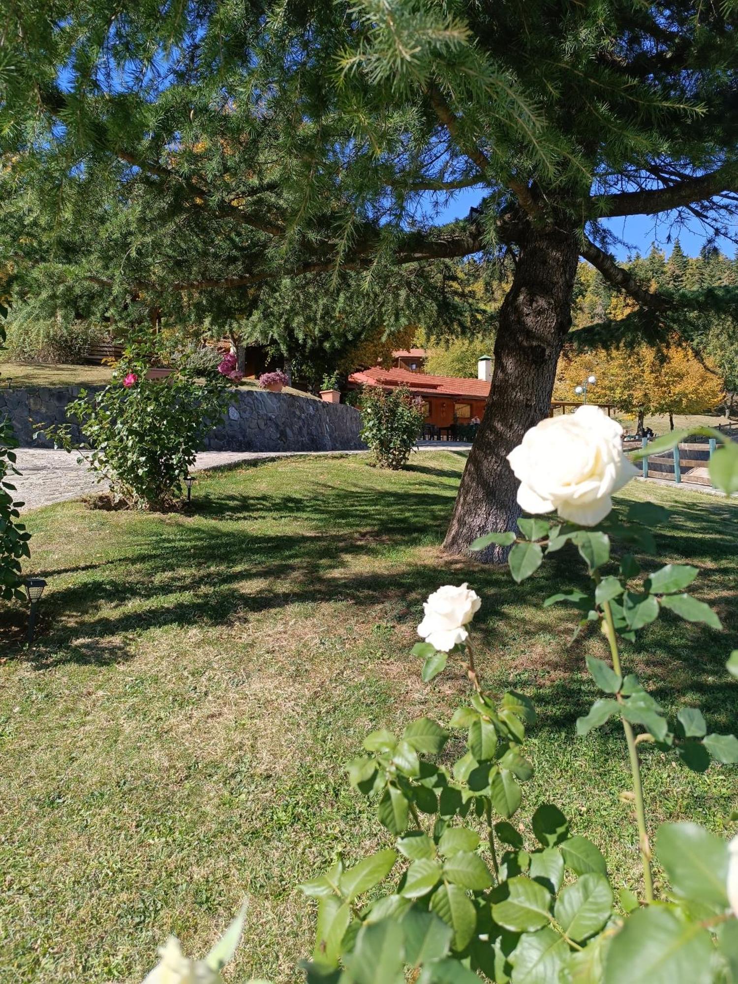 Livadaki Village Megali Kapsi Εξωτερικό φωτογραφία
