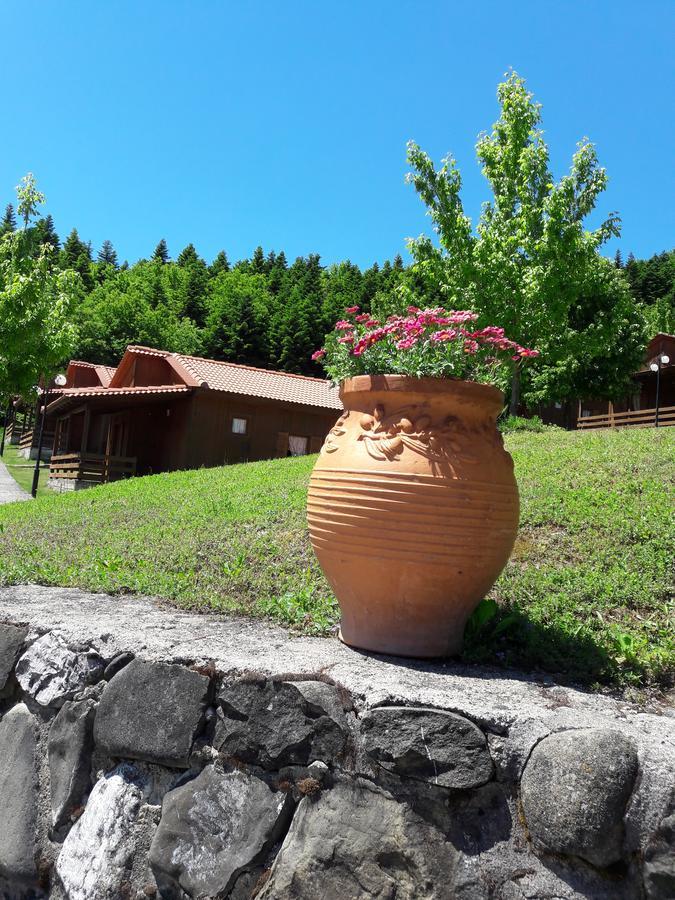 Livadaki Village Megali Kapsi Εξωτερικό φωτογραφία